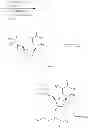 Fig. 49 - LIPID FORMULATED SINGLE STRANDED RNA