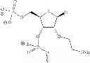 Fig. 99 - LIPID FORMULATED SINGLE STRANDED RNA