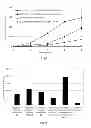 Fig. 02 - IMMUNOGENIC COMPOSITION