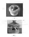 Fig. 02 - Dough Extruder