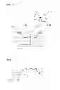 Fig. 07 - Cavity and Core Changeable Foam-Forming Mold