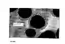 Fig. 02 - MICROCAPSULES BY COACERVATION CONTAINING A PHARMACEUTICAL INCORPORATED IN THE COATING POLYMER
