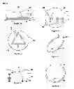 Fig. 07 - Decorating apparatus