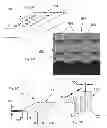 Fig. 06 - Method for wafer-level surface micromachining to reduce stiction