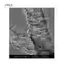 Fig. 07 - Method for forming identification marks on silicon carbide single crystal substrate, and silicon carbide single crystal substrate