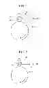 Fig. 02 - Toner and image forming method