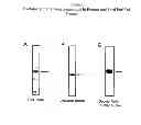 Fig. 08 - PHARMACEUTICAL MANUFACTURING METHODS