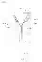 Fig. 02 - Recombinant protein capable of binding specifically and quickly to troponin I derived from human myocardium