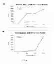 Fig. 04 - BIDIRECTIONAL PROMOTER REPORTER VECTOR FOR THE ANALYSIS OF DUAL REGULATORY ELEMENTS