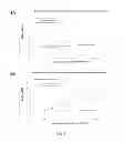 Fig. 06 - BIDIRECTIONAL PROMOTER REPORTER VECTOR FOR THE ANALYSIS OF DUAL REGULATORY ELEMENTS