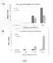 Fig. 07 - BIDIRECTIONAL PROMOTER REPORTER VECTOR FOR THE ANALYSIS OF DUAL REGULATORY ELEMENTS