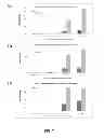 Fig. 08 - BIDIRECTIONAL PROMOTER REPORTER VECTOR FOR THE ANALYSIS OF DUAL REGULATORY ELEMENTS