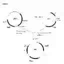Fig. 05 - Use of phosphoketolase for producing useful metabolites