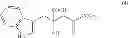 Fig. 07 - Recombinant polynucleotide, host cells containing the same and a process for producing a protein having aldolase activity