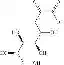 Fig. 32 - Recombinant polynucleotide, host cells containing the same and a process for producing a protein having aldolase activity