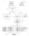 Fig. 02 - Mobile phone network management systems