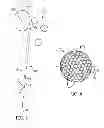 Fig. 03 - Method and system for characterizing golf ball striking ability
