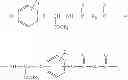 Fig. 33 - Linear polyesteramides from aminophenolic esters