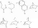Fig. 06 - Auristatin derivatives and use thereof