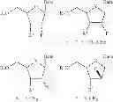 Fig. 02 - 2′-fluoronucleosides