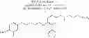 Fig. 96 - Compounds as receptor modulators with therapeutic utility