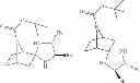 Fig. 30 - 7-azoniabicyclo[2.2.1]heptane derivatives, methods of production, and pharmaceutical uses thereof