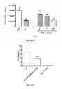 Fig. 04 - METHOD FOR TREATING DISEASES ASSOCIATED WITH ALTERATIONS IN CELLULAR INTEGRITY USING RHO KINASE INHIBITOR COMPOUNDS