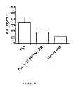 Fig. 06 - METHOD FOR TREATING DISEASES ASSOCIATED WITH ALTERATIONS IN CELLULAR INTEGRITY USING RHO KINASE INHIBITOR COMPOUNDS