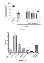 Fig. 07 - METHOD FOR TREATING DISEASES ASSOCIATED WITH ALTERATIONS IN CELLULAR INTEGRITY USING RHO KINASE INHIBITOR COMPOUNDS