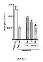 Fig. 09 - METHOD FOR TREATING DISEASES ASSOCIATED WITH ALTERATIONS IN CELLULAR INTEGRITY USING RHO KINASE INHIBITOR COMPOUNDS