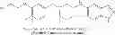 Fig. 166 - METHOD FOR TREATING DISEASES ASSOCIATED WITH ALTERATIONS IN CELLULAR INTEGRITY USING RHO KINASE INHIBITOR COMPOUNDS