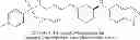 Fig. 243 - METHOD FOR TREATING DISEASES ASSOCIATED WITH ALTERATIONS IN CELLULAR INTEGRITY USING RHO KINASE INHIBITOR COMPOUNDS
