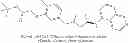 Fig. 357 - METHOD FOR TREATING DISEASES ASSOCIATED WITH ALTERATIONS IN CELLULAR INTEGRITY USING RHO KINASE INHIBITOR COMPOUNDS