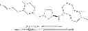 Fig. 366 - METHOD FOR TREATING DISEASES ASSOCIATED WITH ALTERATIONS IN CELLULAR INTEGRITY USING RHO KINASE INHIBITOR COMPOUNDS