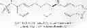 Fig. 97 - METHOD FOR TREATING DISEASES ASSOCIATED WITH ALTERATIONS IN CELLULAR INTEGRITY USING RHO KINASE INHIBITOR COMPOUNDS