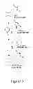 Fig. 07 - TRICYCLIC NECROSTATIN COMPOUNDS