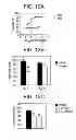 Fig. 13 - TRICYCLIC NECROSTATIN COMPOUNDS