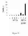 Fig. 16 - TRICYCLIC NECROSTATIN COMPOUNDS