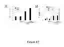 Fig. 18 - TRICYCLIC NECROSTATIN COMPOUNDS