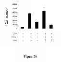 Fig. 21 - TRICYCLIC NECROSTATIN COMPOUNDS