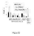 Fig. 23 - TRICYCLIC NECROSTATIN COMPOUNDS