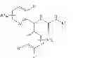 Fig. 22 - TRPM8 antagonists and their use in treatments
