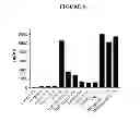 Fig. 09 - PYRIMIDINE CLASSICAL CANNABINOID COMPOUNDS AND RELATED METHODS OF USE