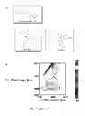 Fig. 02 - Compounds, Compositions and Methods Related to PPAR Antagonists