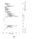 Fig. 02 - 1,2,3,4,5 6,7,8-octohydro-9-phenylacetamidoacridine, the preparation method and medical use thereof
