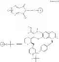 Fig. 02 - Dicarboximide derivatives of berbamine, the preparation and use thereof