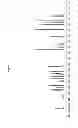 Fig. 63 - PHARMACEUTICAL COMPOSITIONS AND ADMINISTRATIONS THEREOF