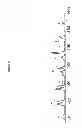 Fig. 64 - PHARMACEUTICAL COMPOSITIONS AND ADMINISTRATIONS THEREOF