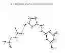 Fig. 07 - Metaxalone cocrystals