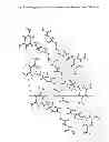 Fig. 08 - Metaxalone cocrystals